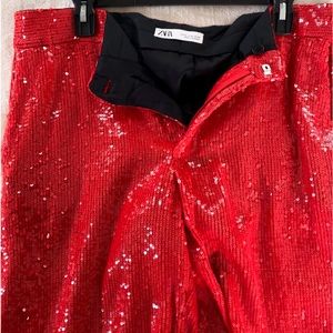 Zara Sequin Suit Pants